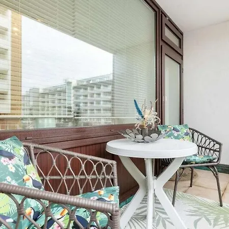 Aleyna Comfortable Westerland